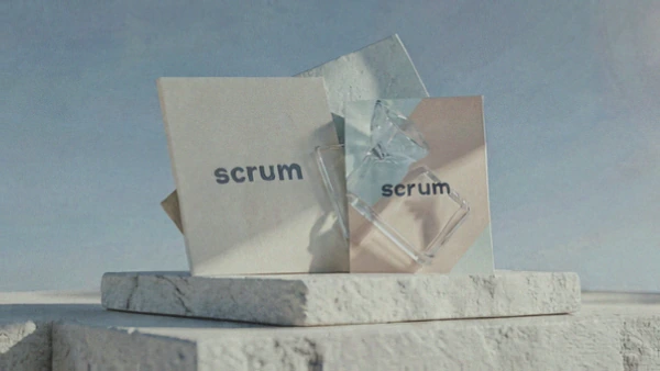 Agile and Scrum: System — Quick Start